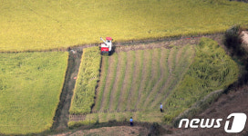 벼베기로 마무리 하는 추석연휴