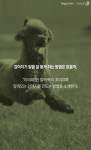 [펫카드] 말 잘 듣는 강아지 만들기…이리와 교육