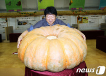 함평군 13일 슈퍼호박 선발대회 개최…30㎏ 이상