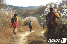 강릉·평창·정선 잇는 올림픽 아리바우길 걸어보세요