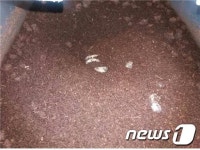 진안군, 곤충 시범사업·시설 현대화에 5억원 지원