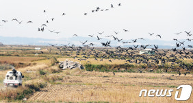 AI 방역활동 강화하는 서산시