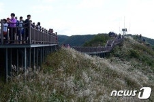 홍성군, 22일 오서산 억새풀 등산대회 개최