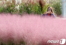 핫한 핑크뮬리에 빠진 女心