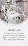 [펫카드] 한방치료 받는 반려동물들