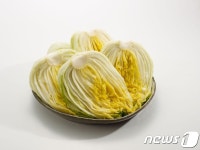 롯데마트, 19일부터 절임배추 사전 예약 판매