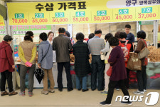 강원·홍천 인삼·한우 명품축제…22일까지