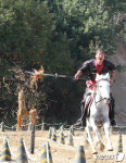 화랑의 무예