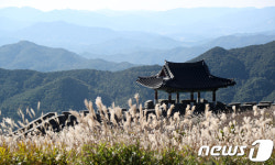 산청 황매산 억새밭
