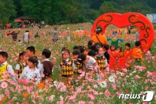 전주는 국가대표 녹색도시…첫마중길·호동길 최고