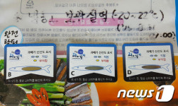 반갑다 과메기야…포항 구룡포서 본격 생산 시작