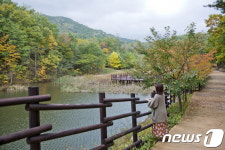 11월에 걷기 좋은 길은 도심속 단풍 즐길 수 있는 길