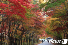단풍 절정