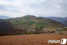단풍이 지기 전에 걸어 보세요…올림픽 아리바우길 