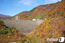 단풍이 지기 전에 걸어 보세요…올림픽 아리바우길 
