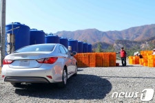 헬기 날자 사과 후두둑…피해농장 찾은 주한미군(종합)