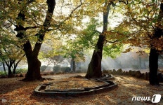 만추의 계절, 경북도 추천 걷기여행길 5곳