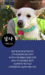 [펫카드] 유기동물들의 희망이 돼 주세요