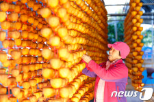 곶감이 주렁주렁