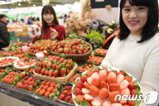 농협유통 딸기가 나왔어요