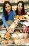 인기 9종이 담긴 50cm 모듬회 맛 보세요