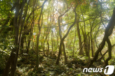 해넘이 보며 겨울 낭만 즐긴다…제주 12월 추천 여행지