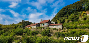 해넘이 보며 겨울 낭만 즐긴다…제주 12월 추천 여행지