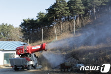 “올해도 무사히 지나가길”…AI 파동에 양양 닭농장 시름
