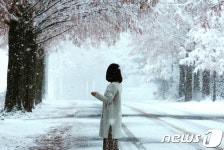 눈이 내려 더 아름다운 진안 메타세콰이어길