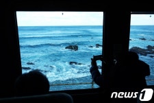 일출 보고 회 먹고, 커피까지…당일치기 강릉여행 어때요