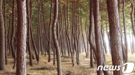 12월 걷기 좋은 길…겨울풍경의 진수 서해 여행 