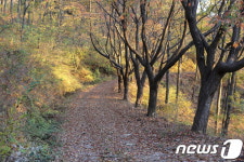 청량한 겨울풍경, 서해바다…관광공사 추천 12월 걷기여행길