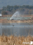 서산 잠홍 저수지 AI 방역 철저