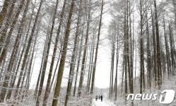 절기상 대설...남덕유산 눈 내려