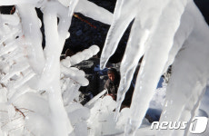  함양군 꽁꽁 언 얼음