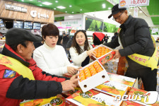 '새콤달콤 감귤 저렴하게'