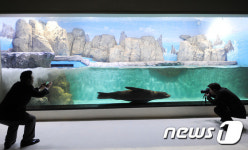 연 3천만 찾은 신세계 동대구복합환승센터, 복합몰? 백화점?