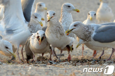 친구야 나눠먹자!