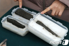 문자 기록을 위해 사용된 목간(木簡)