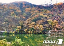 국립칠곡숲체원, 무장애 참나무숲길 ‘다누리길’ 개통