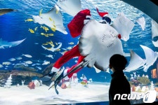 산타 인어와 산타 할아버지의 크리스마스 선물