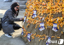 무술년, 언제나 건강하게