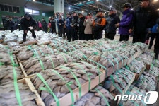 새벽을 여는 부산공동어시장