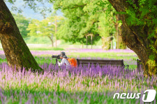 숲 속에서 치유하세요…문체부 생태 테마관광 14건 선정