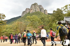 인구 2만6000 청송군, 1년 관광객 500만 시대 눈앞