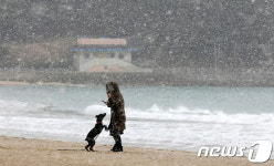 눈 내리는 날 반려견과 추억 남기기