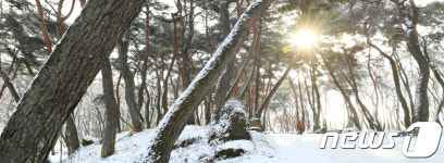 거창 동호숲의 겨울