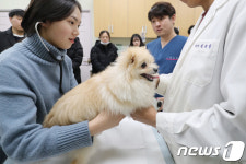 어머 내 심장도 빨리 뛰네