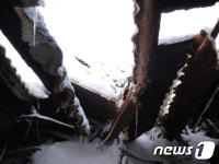전남 함평 한 축사 폭설에 무너져