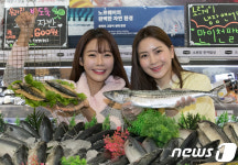 롯데마트, 등 푸른 생선 Festa